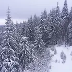 Hébergement de vacances Thueringer By Interhome Gehlberg