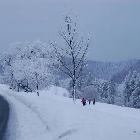 Thueringer By Interhome Vakantiehuis Gehlberg