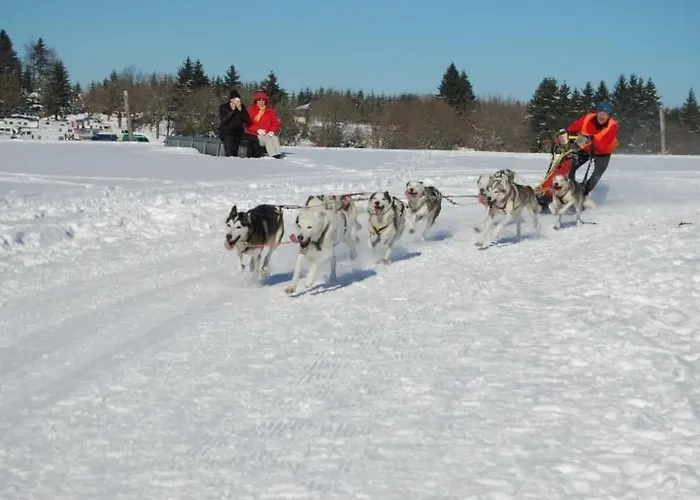 Thueringer By Interhome Gehlberg