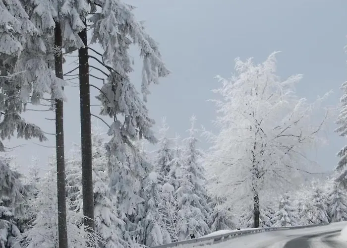 Thueringer By Interhome