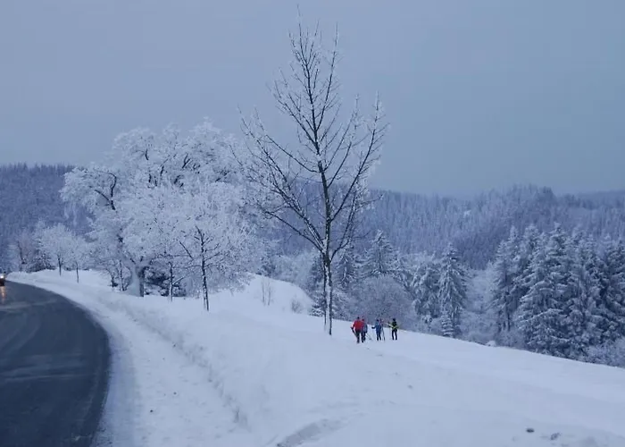 Thueringer By Interhome Vakantiehuis Gehlberg