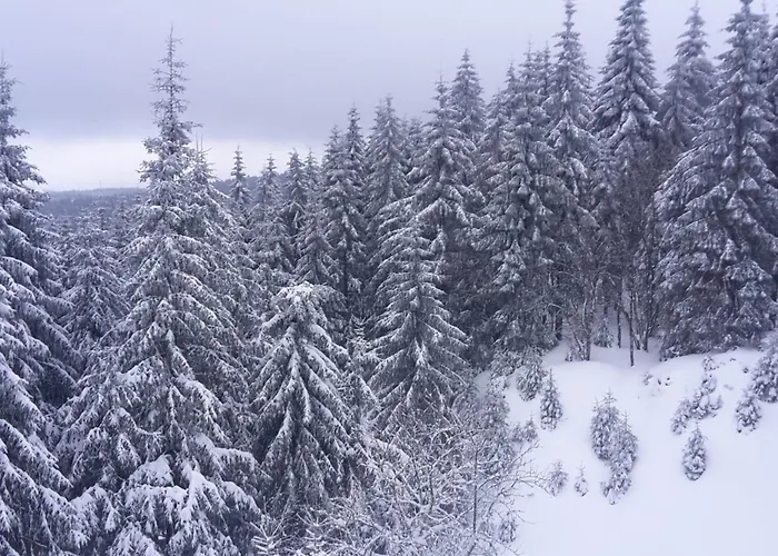 Vakantiehuis Thueringer By Interhome Gehlberg