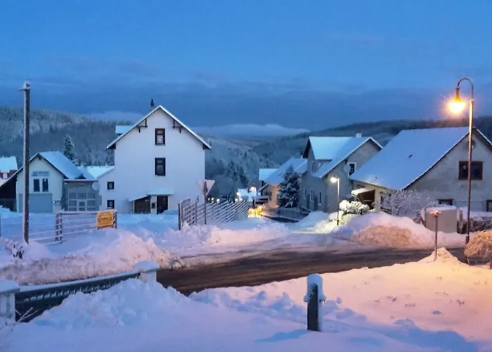 Thueringer By Interhome Gehlberg